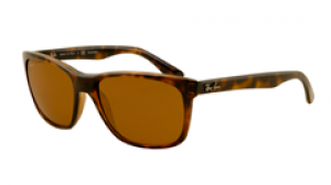 ray_ban_4181_710_83-1