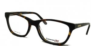 cam100_c1-2