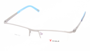 2009_c11